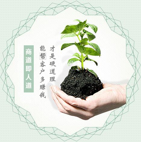 蔬菜種子經(jīng)營，商道即人道
