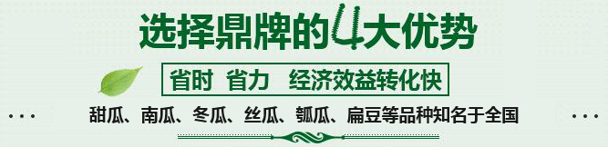 購買蔬菜種子，選擇鼎牌的四大優(yōu)勢