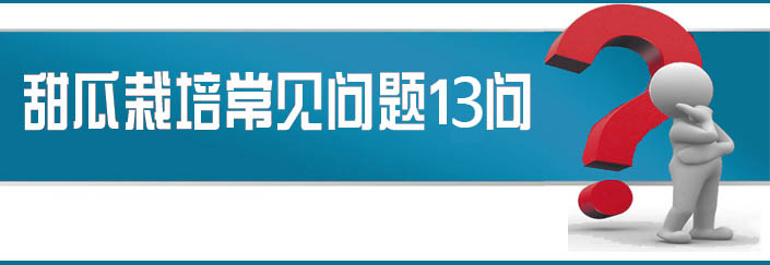 蔬菜種子栽培技術(shù)-<strong><font color='#006428'>甜瓜栽培常見問題13問？</font></strong>