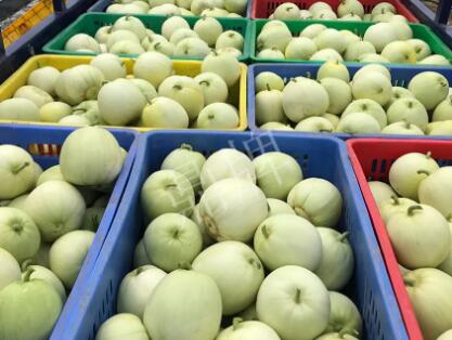 蔬菜種子種植戶客戶點評-5元1斤，這個新品種真香甜！