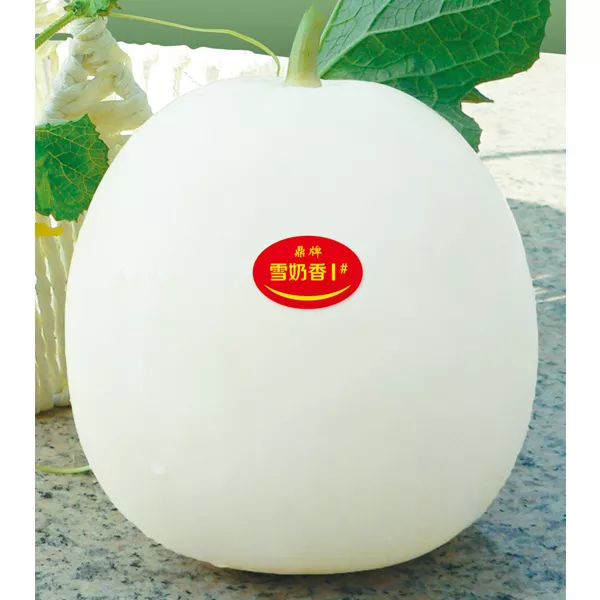 薄皮甜瓜，哪個(gè)品種最好呢？畝產(chǎn)高達(dá)10萬，附4種市場(chǎng)爆款品種