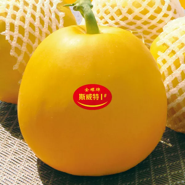 薄皮甜瓜，哪個(gè)品種最好呢？畝產(chǎn)高達(dá)10萬，附4種市場(chǎng)爆款品種
