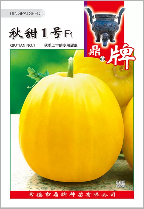 高溫季節(jié)種植甜瓜，什么品種最好？這個品種是秋季上市的專用品種