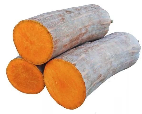 生吃都好吃南瓜新品種，沒有大肚子，肉質(zhì)更密致，農(nóng)戶試種下