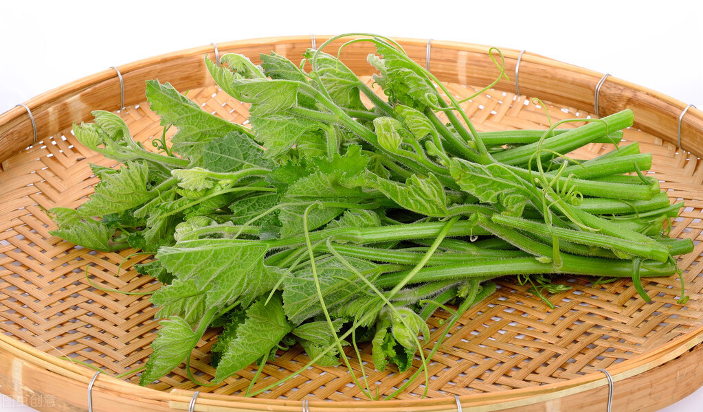 種這種綠葉菜，栽培輕松，畝產(chǎn)值過萬元，菜農(nóng)表示很劃算