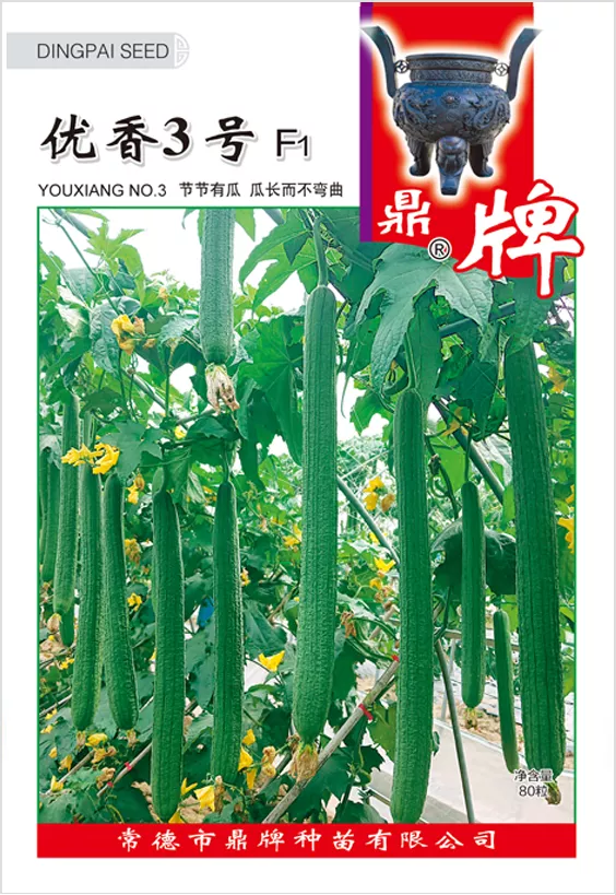 它是絲瓜種植戶的新選擇，節(jié)節(jié)有瓜，瓜長而不彎曲