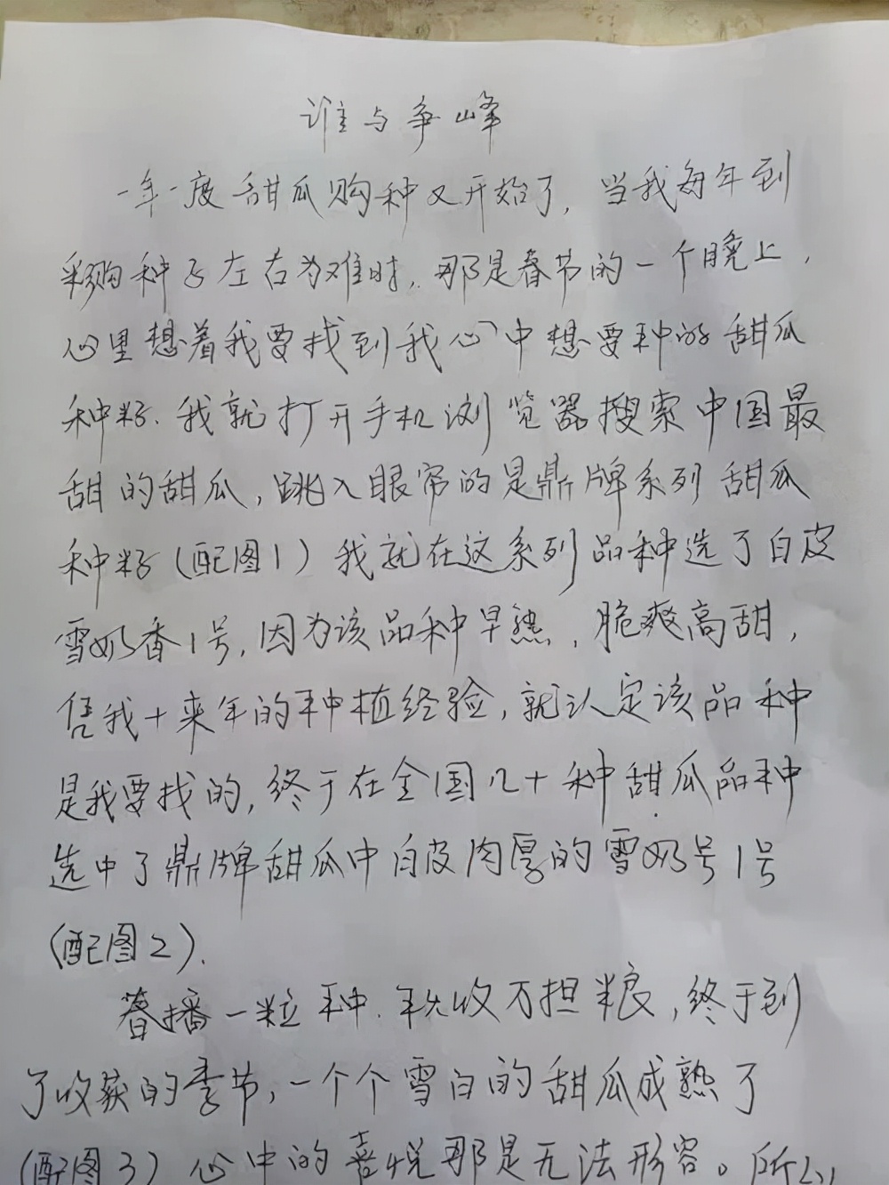 河南焦作的李向林今年種植甜瓜新品種，客戶直接拉貨走人
