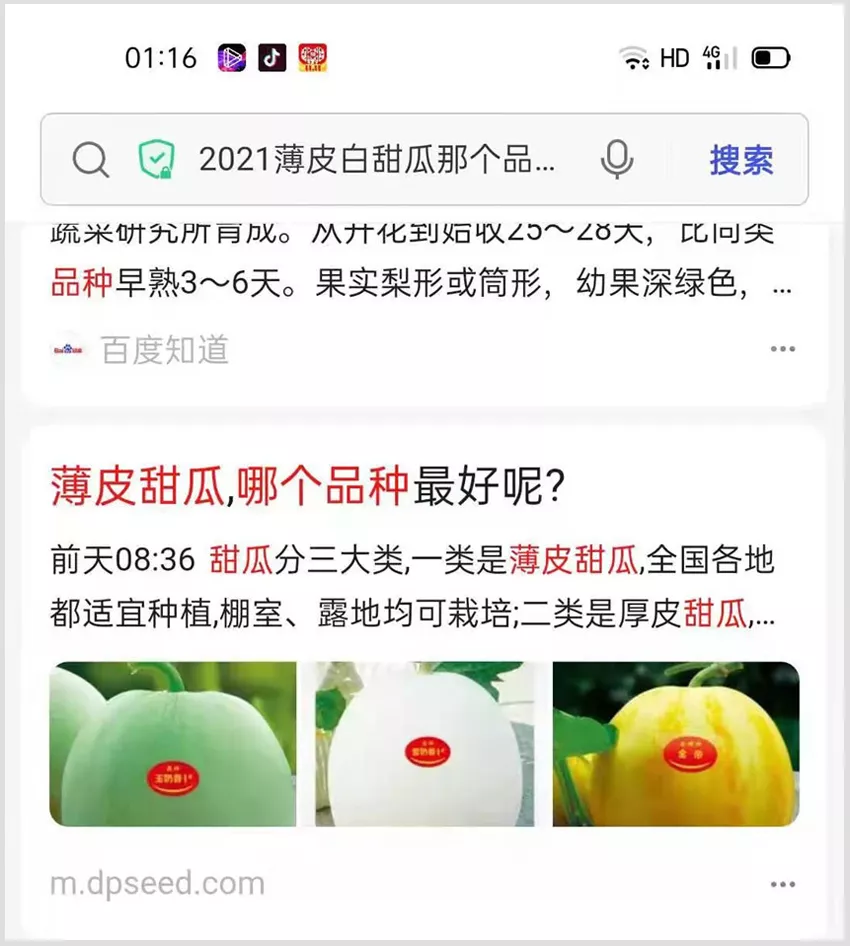 河南焦作的李向林今年種植甜瓜新品種，客戶直接拉貨走人
