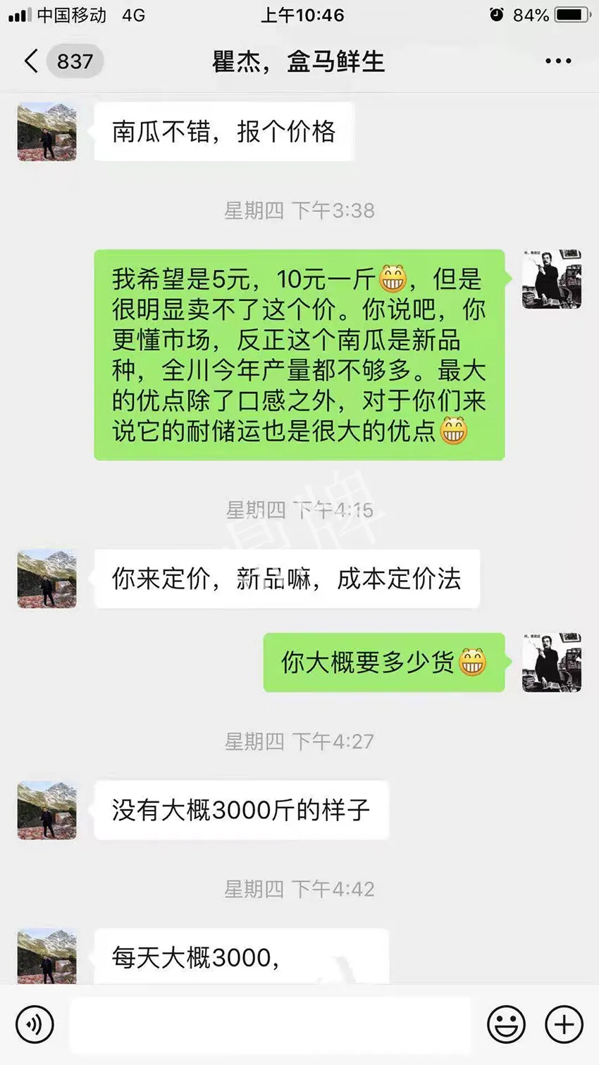 四川農(nóng)戶今年種“健美蜜本”南瓜產(chǎn)量高，品質(zhì)好，感覺巴適得很